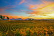 Visit Temecula Valley Announces Top 20 Ways to Celebrate Fall in Southern California Wine Country
