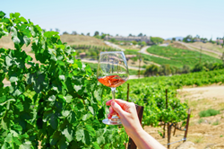 Celebrate California Wine Month in Temecula Valley, a World-Renowned Wine Destination