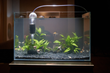 iruzio&#39;s Newest 2-in-1 Aquarium Cleaner Wows Aquarists on Kickstarter, Reaching Their Funding Goal in Just a Matter of Days