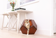 Pet Object Enhances the Litter box With Functionality and Aesthetically Pleasing Design