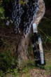 Antigal Winery &amp; Estates Announces new Sustainability Certification and its first UNO Malbec made with Organic Grapes