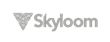 Skyloom Hires Campbell Marshall as Chief Operating Officer as Company Scales to Serve Both Commercial &amp; U.S. Government Customers