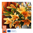 Relieve The Stress of the Holidays with Long-Lasting Lilies