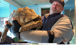 Darren Minier , Director of Animal Welfare and Research at Oakland Zoo, rescuing tortoise from the shutdown Tri-State Zoological Park
