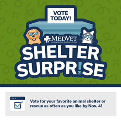 MedVet Shelter Surprise Voting is Live