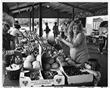 Kalamazoo Valley Museum Opens Photo Exhibit Documenting Nearly 40 Years of Local Life