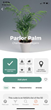 Planta, the Plant App, Reaches 6 Million Users and Launches New Discover Feature