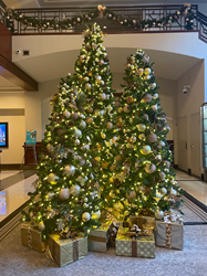 Capital Hilton Kicks Off The Holiday Season By Helping Those In Need Within The DC Community