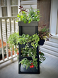 PopUp Garden Now Available for Consumers with Limited Outdoor Garden Space