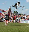 Disc-Connected K9s, World Famous Frisbee Dogs