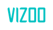 Vizoo Company Logo