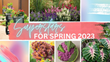 Garden Media Group releases Superstars 2023: New Plants and Products for Spring
