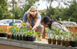10 Fortune 500 Companies Implement StartOrganic’s Vegetable Gardening Corporate Wellness Program as Employee Surveys Show It Reduces Worker Stress By 92%