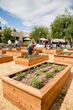 Over the last 12 months 10 Fortune 500 companies have implemented its employee gardening program.