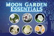 Cultivate Your Own Moon Garden with Luminous White Blooms