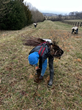 GreenTrees plants tree seedlings at Brookefield Farm in Delaplane, Va., to launch Virginia’s first-ever reforestation project for generating carbon removal credits for sale on environmental markets.