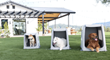 Diggs Launches Enventur, An Inflatable Travel Kennel For Pet-Focused Comfort, Safety and Security