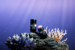Go Under the Sea with BLAQ’s New Mess-Free, Botanical-Infused, Detox Roll-On Mask Stick