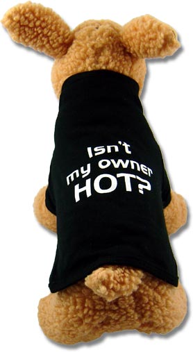 dog sweaters with funny sayings