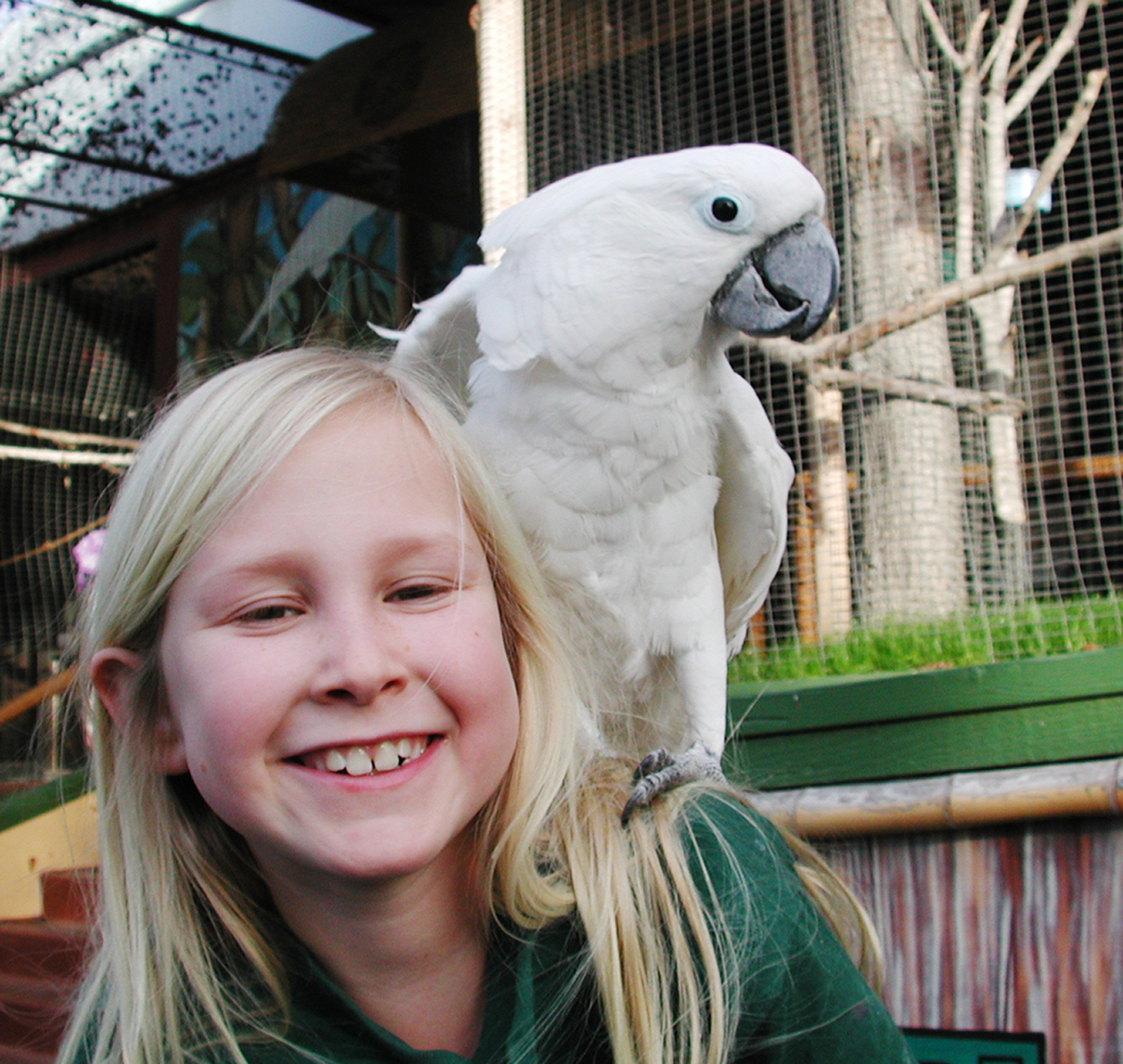 birds-discover-the-majesty-of-flight-at-the-star-eco-station