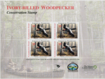 Block of Ivory-bill Stamps