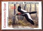 Official Ivory-billed Woodpecker Conservation Stamp