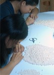 Freshwater pearls being sorted 