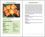Sample pages from "Mediterranean Garden Plants"