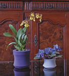 Iris Pot Covers from Kinsman Company