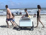 Perfect Beach cart for the family!