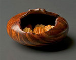 "Hive" by Woodturner Michael Lee on exhibit in "Woodturned Sculptures Too" October 7-29