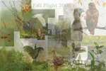 Fall Flight 2006 