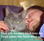 Orb Ducks Into Head