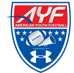 American Youth Football Qualifies 230 Teams from Across the U.S. to