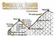 Financial Roller Coaster, Common Cent$ Book