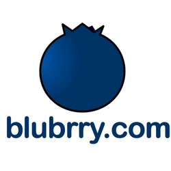 Image result for blubrry logo