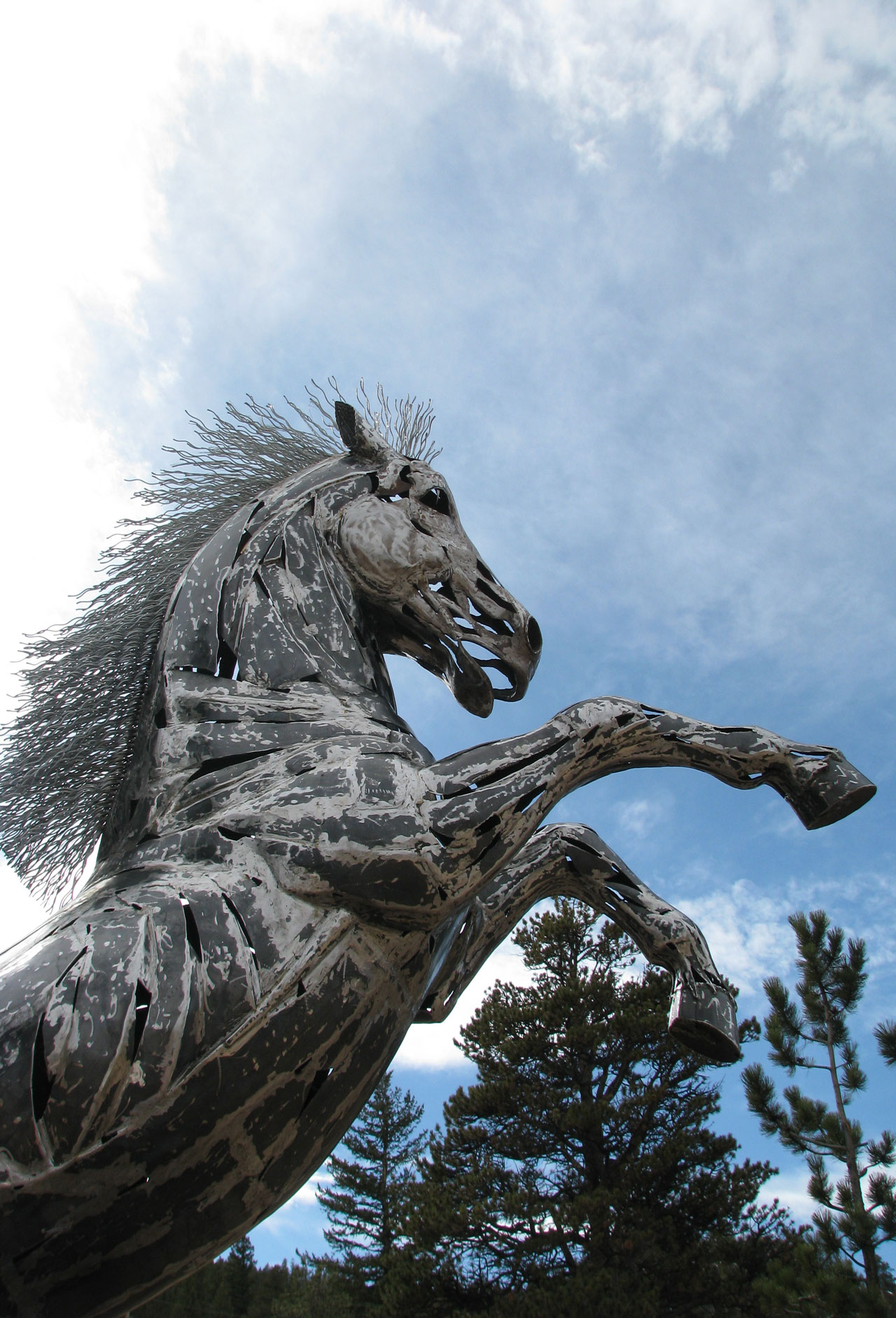Artist Captures Spirit of the Horse in Steel