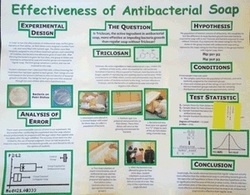 ASA Announces 2010 National K-12 Poster and Project Winners