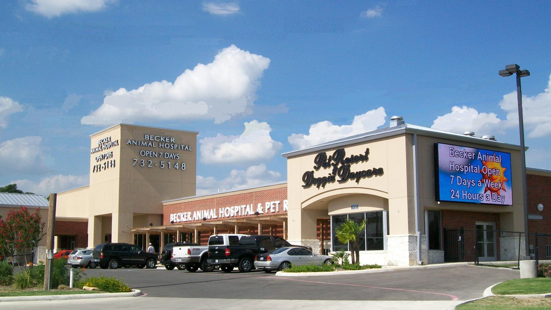 becker animal hospital san antonio texas