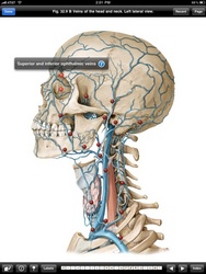 Thieme Medical Publishers Releases Atlas of Anatomy for Use in