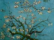 Van Gogh's Branches of an Almond Tree oil painting