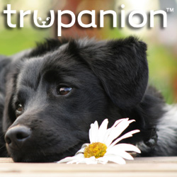 Trupanion Pet Health Claims