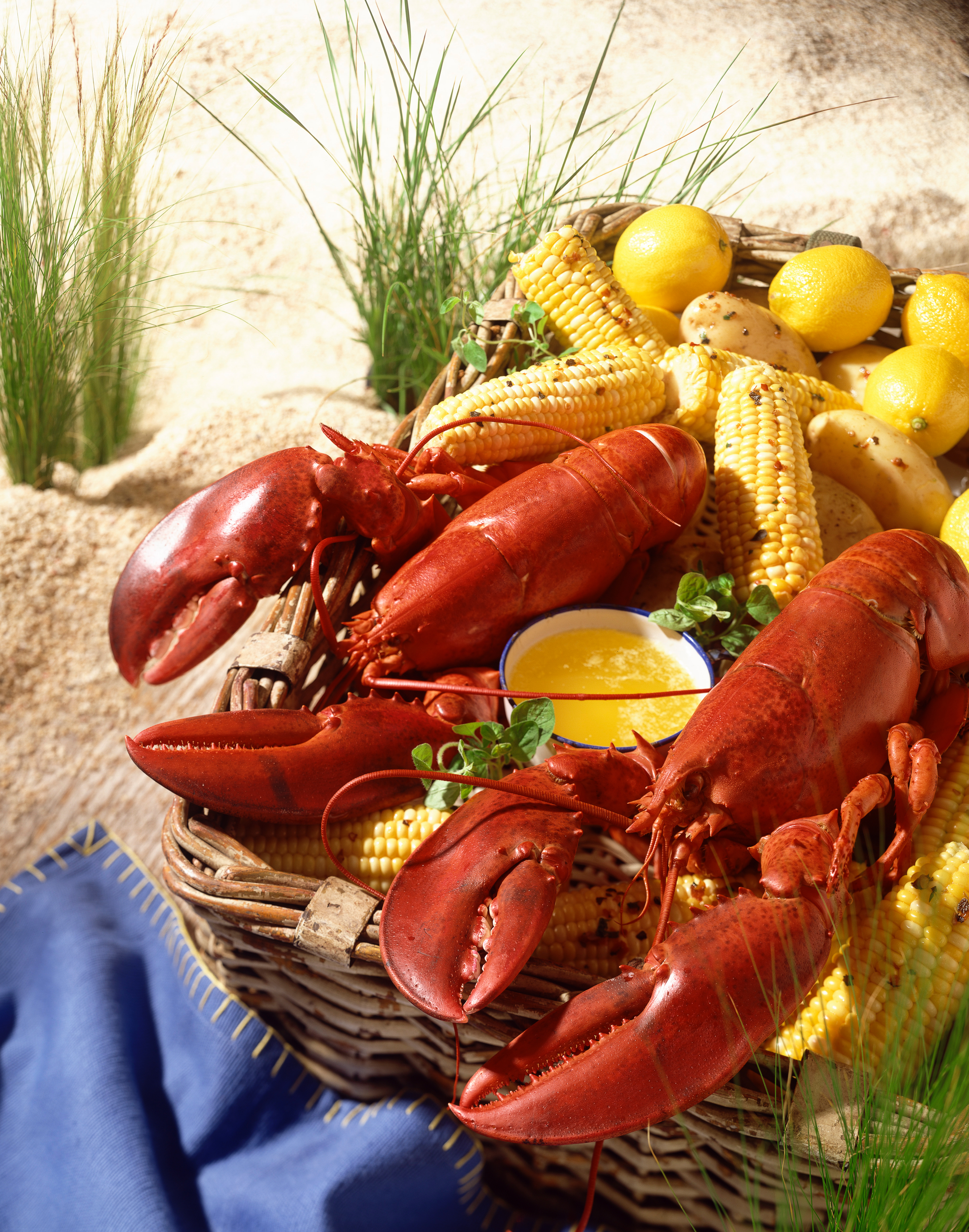 Live Maine Lobster Valentine Dinner Now