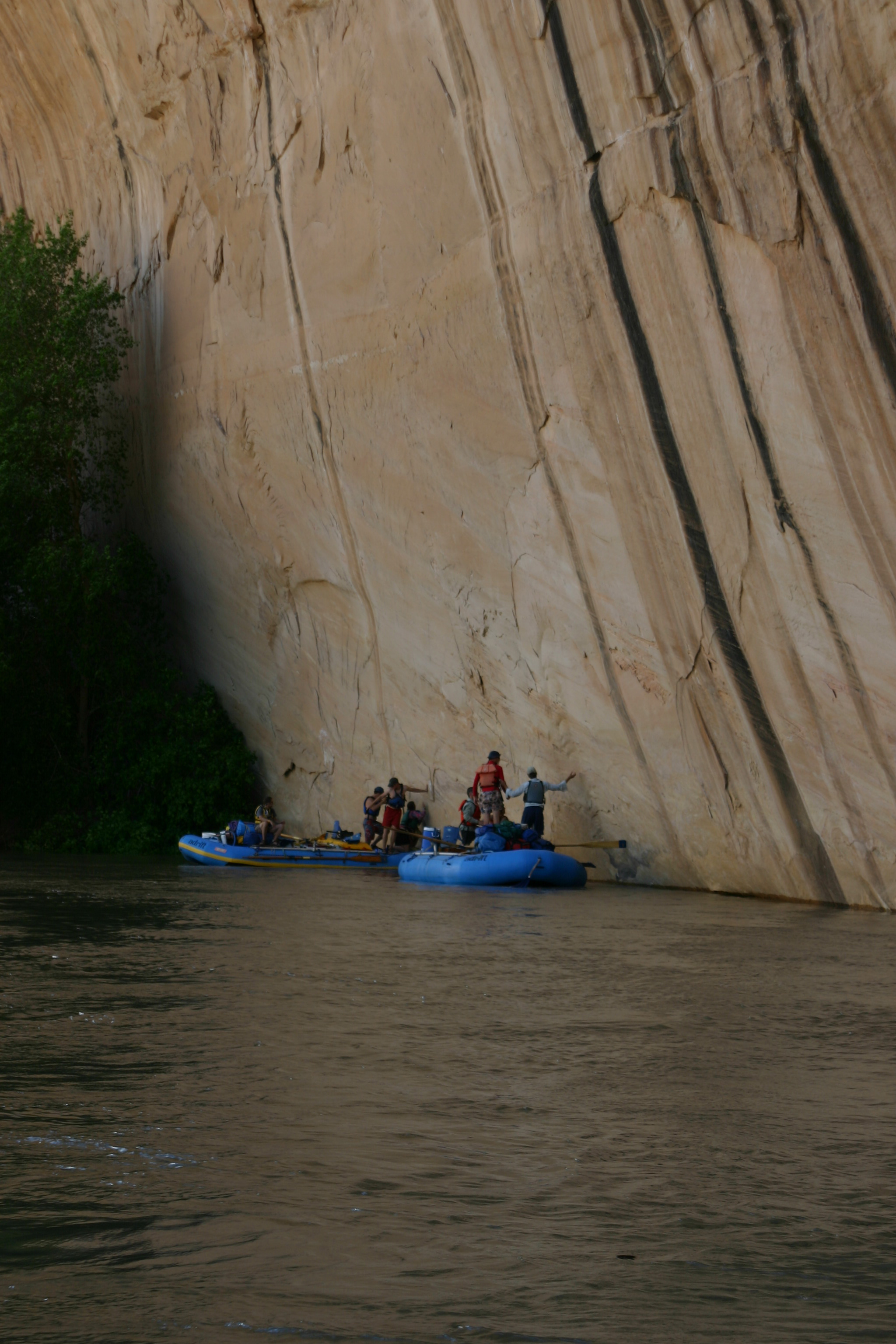 Tiger Wall on the Yampa River in Dinosaur National Monument.