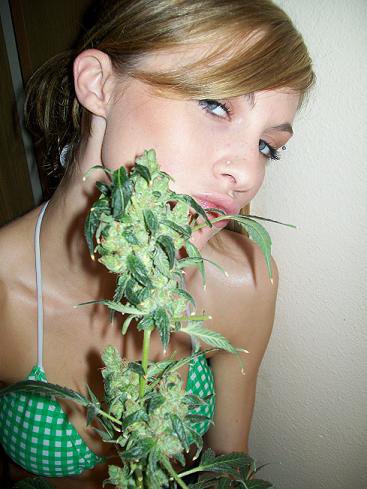 And chicks weed hot 