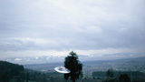 One of a series of nine photos of a UFO circling a tree, taken by Billy Meier in Switzerland