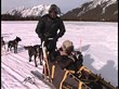Mohamed Dahir dogs sleds in Canada