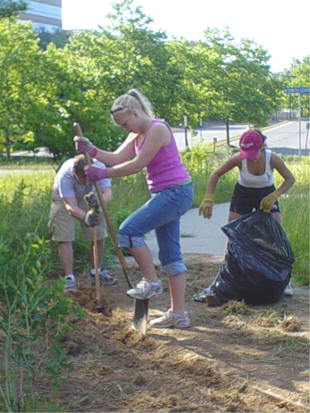 Schoolyard habitats teach environmental stewardship