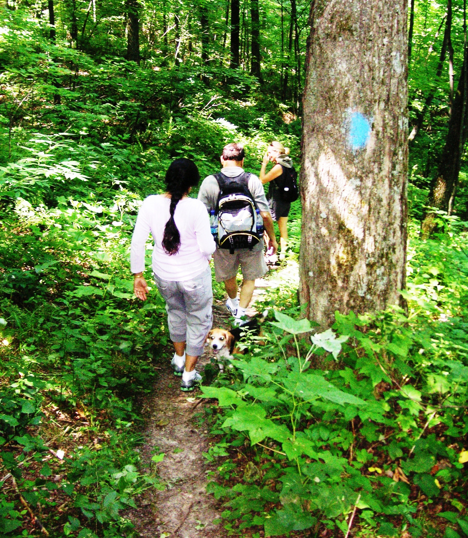 Hiking along the Appalachian Trail in Vermont
