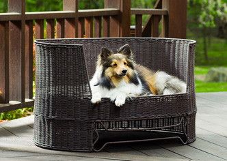 outdoor patio dog bed